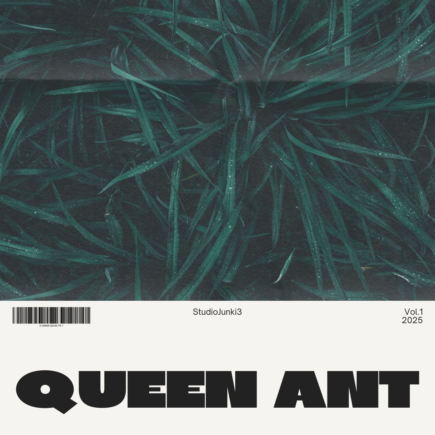 QUEEN ANT