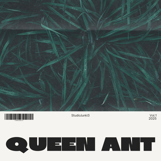 QUEEN ANT